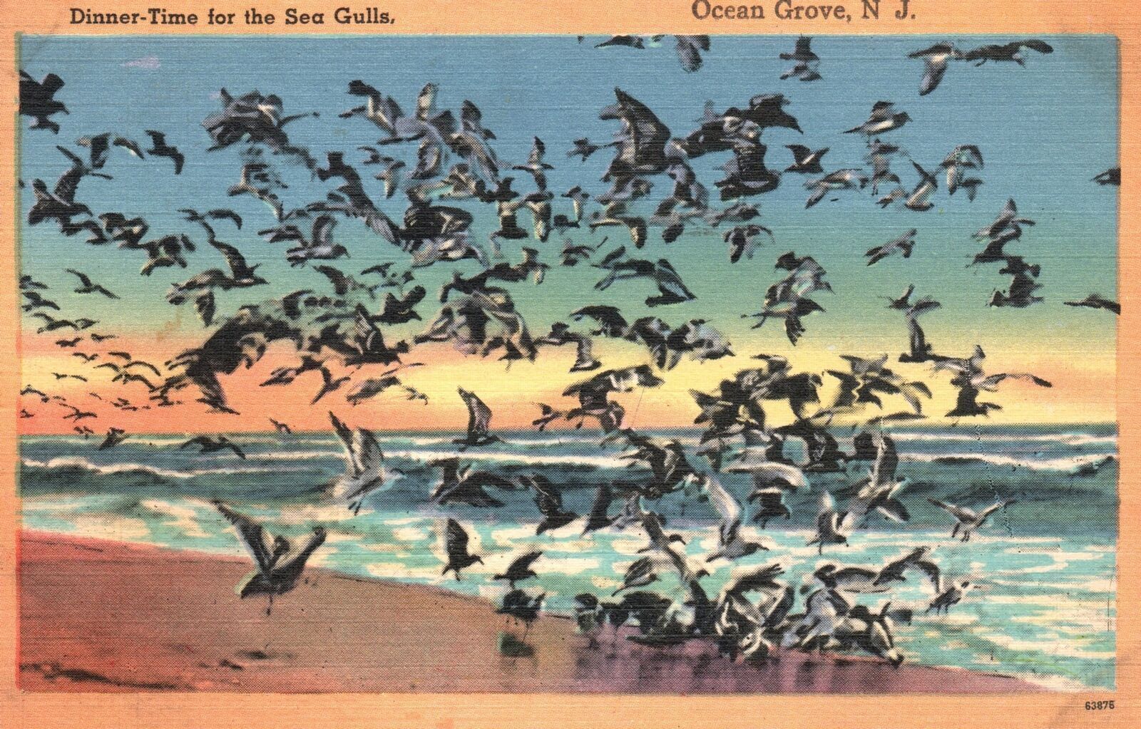 Vintage Postcard 1958 Dinner Time For The Sea Gulls Ocean Grove New Jersey NJ