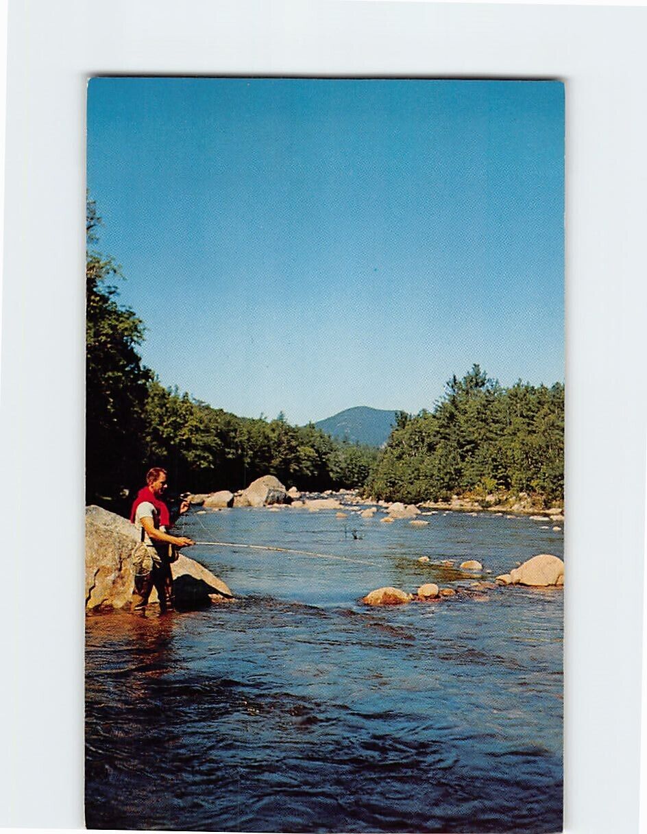 Postcard Fishing