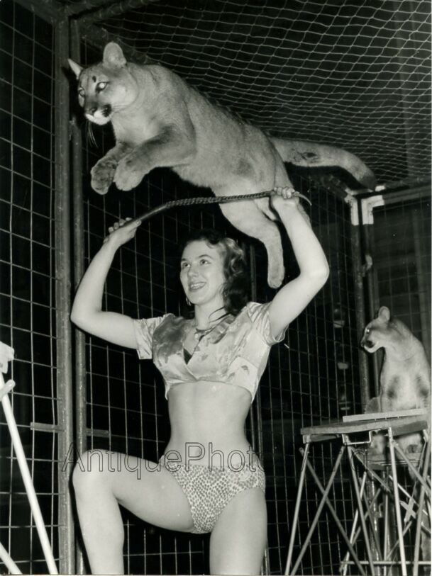Puma wild cat jumping over woman w whip animal trainer vintage circus photo