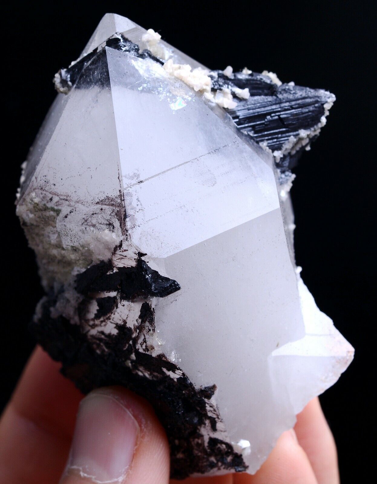 153g Natural wolframite arsenopyrite Crystal Mineral Specimen/Yaogangxian  China