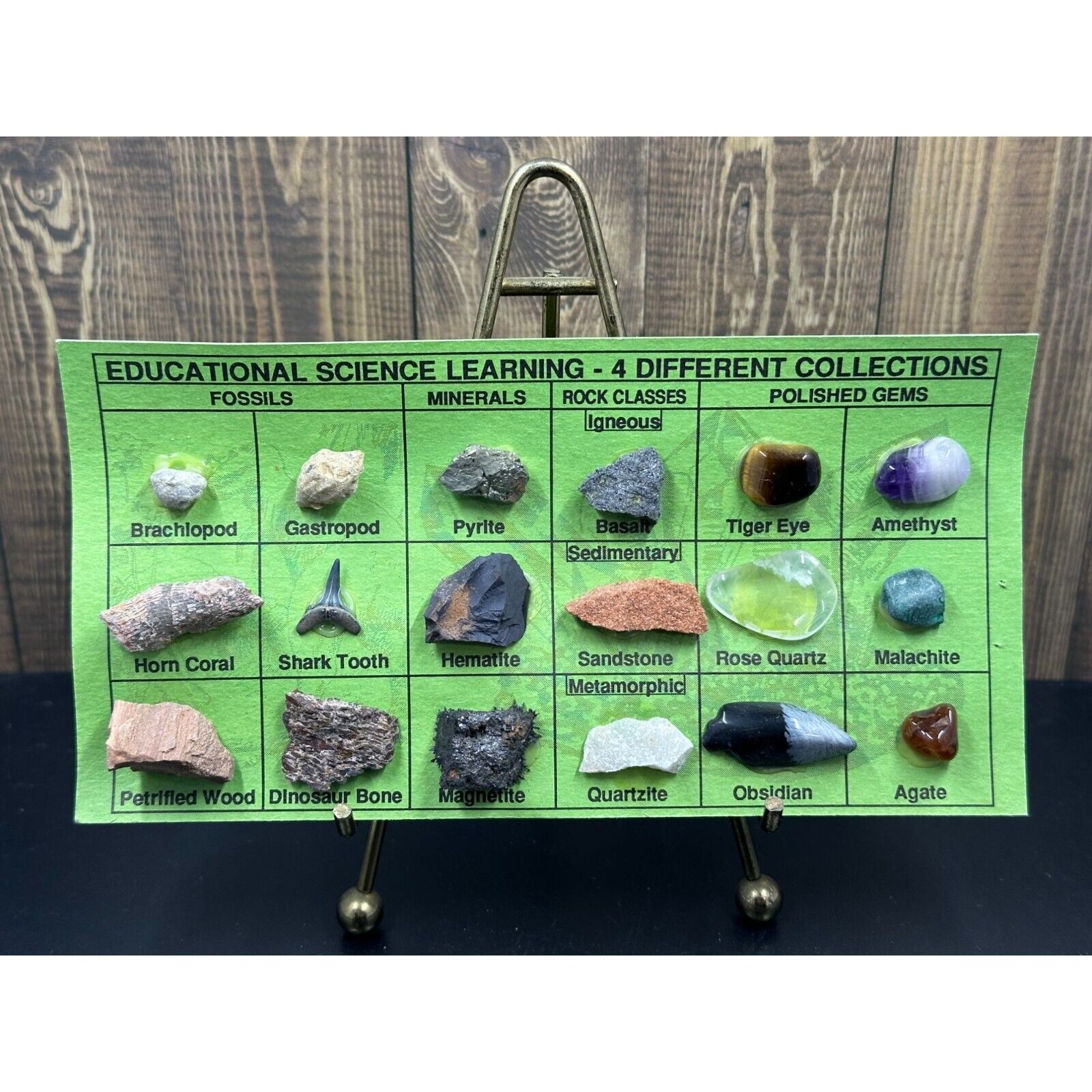 Vintage Educational Science Learning Fossils Minerals Rock Classes Polished Gems