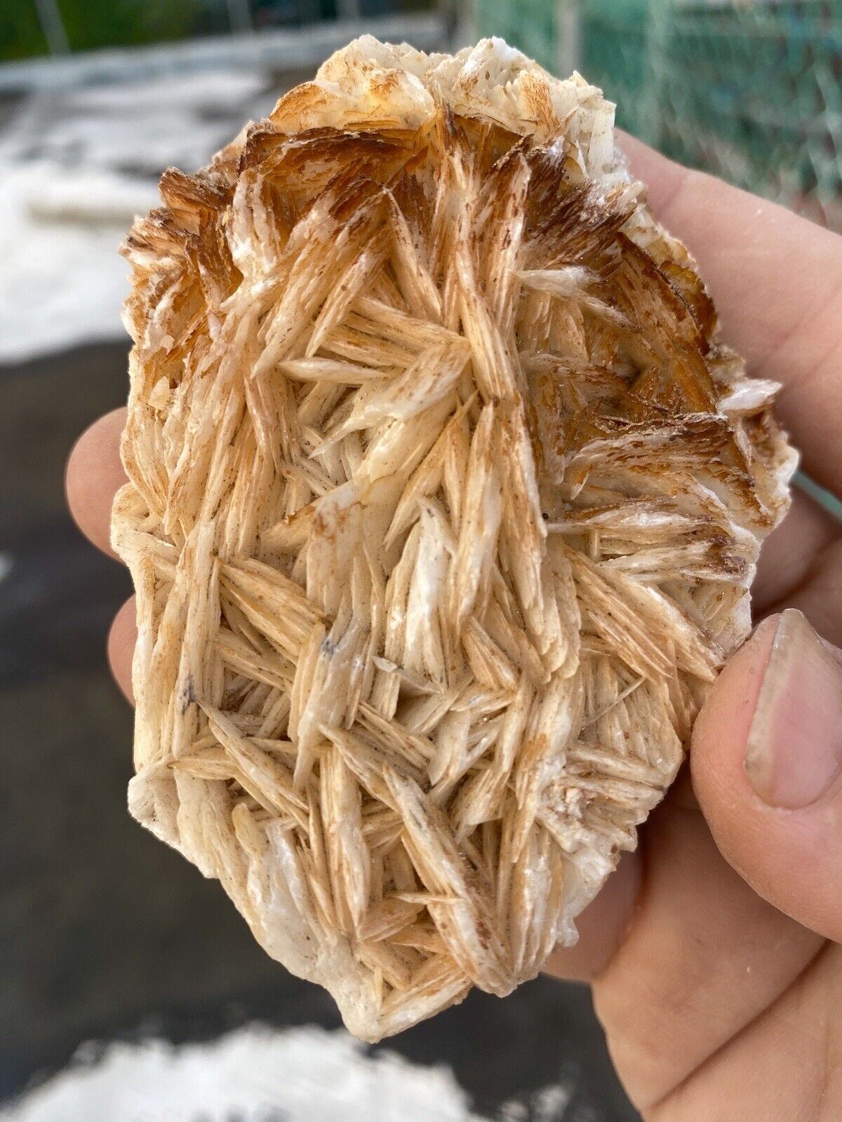 Cerussite With Bladed Barite Baryte Rare Crystal Specimen Formation Morocco