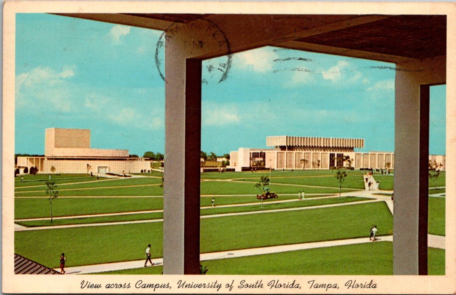 Campus South Florida Tampa Florida Postcard