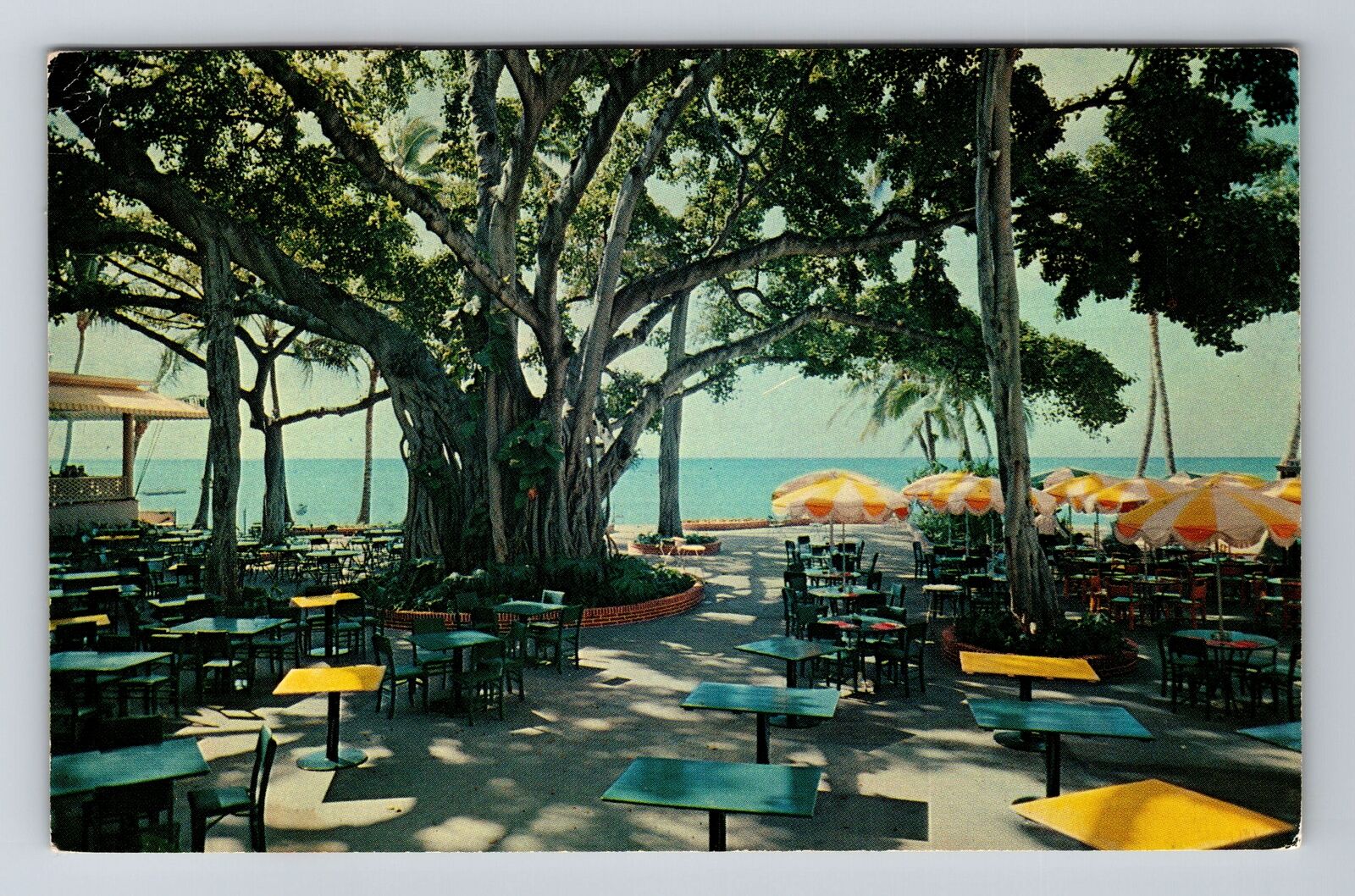 Honolulu HI-Hawaii, Banyon Tree Court, Moana Hotel, c1956 Vintage Postcard