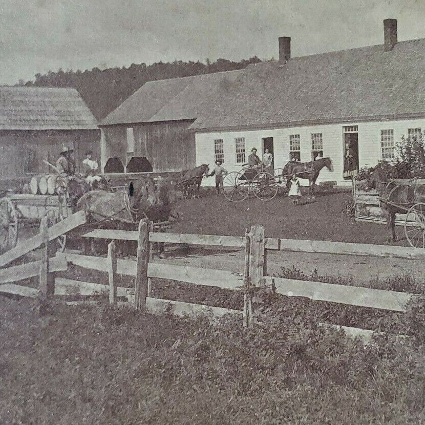 Horse Carriage 1860s Civil War Era Plantation Farm House Fence Stereoview I350