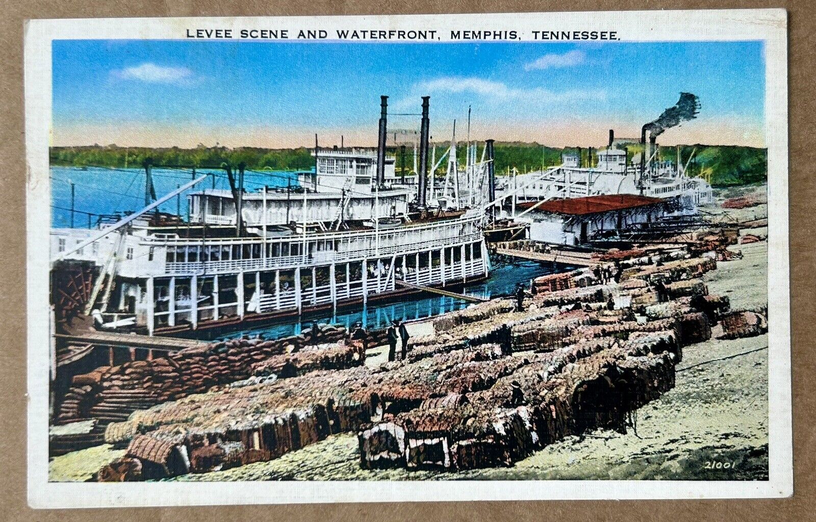 LEVEE SCENE AND WATERFRONT, MEMPHIS, TENNESSEE. TN Vintage Postcard