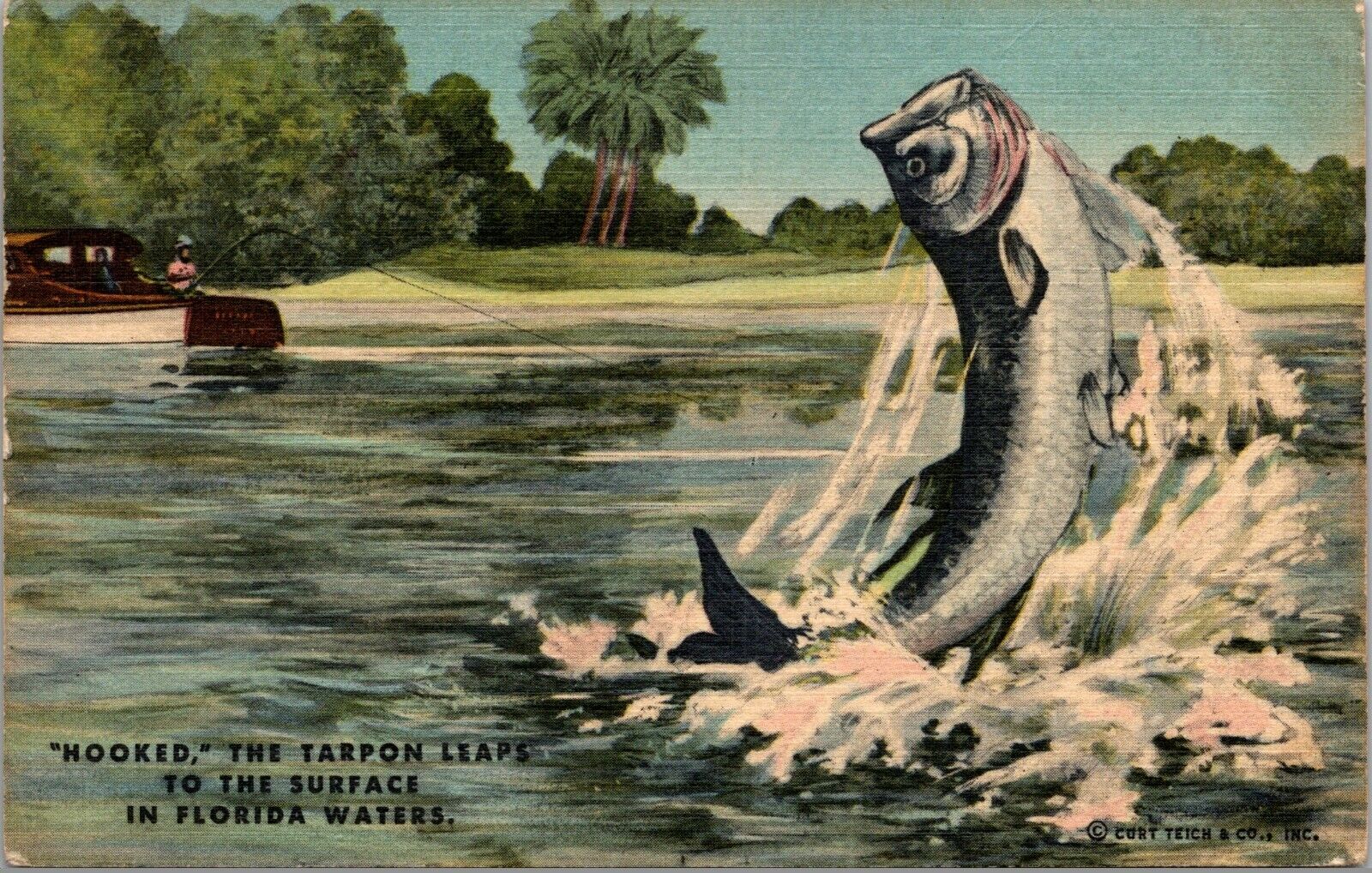 Postcard Hooked the Tarpon Leaps to the Surface in Florida waters fish boat