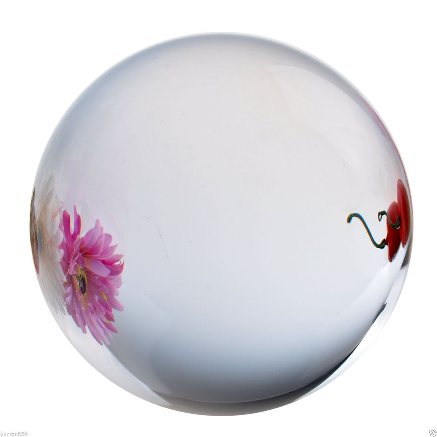200mm Huge Asian Rare Quartz Clear Magic Crystal Healing Ball Sphere Boutique