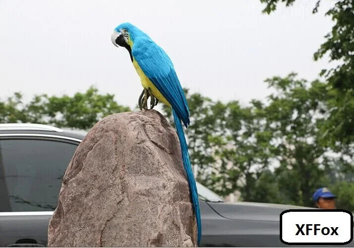 big simulation parrot model foam&feather blue&yellow parrot bird gift about 60cm