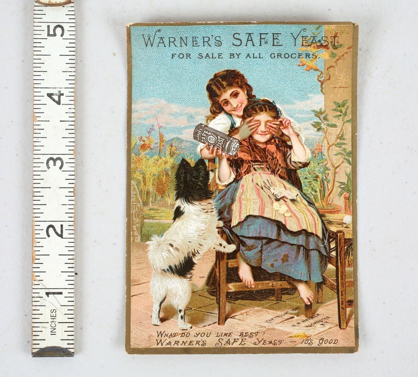 Original Victorian Trade Card Warner\'s Safe Yeast Dog Backache Cure Kidney  
