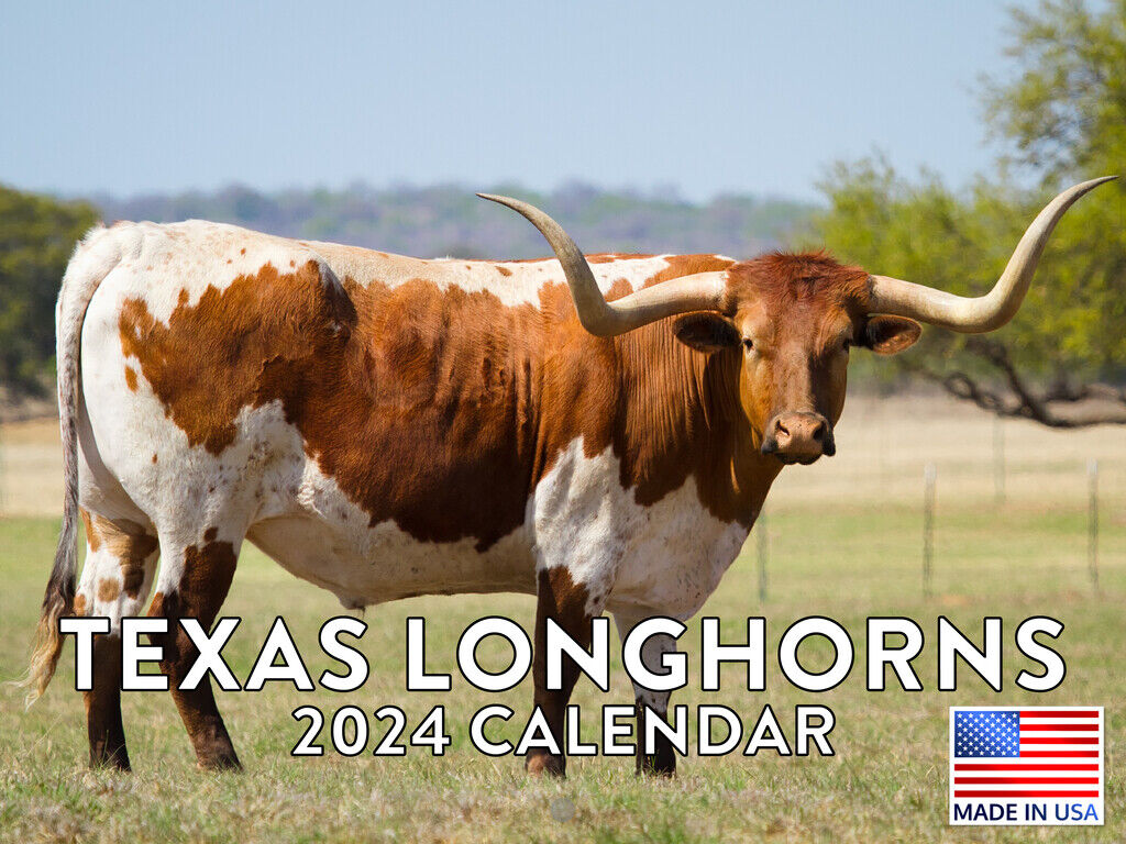 Texas Longhorn 2024 Wall Calendar
