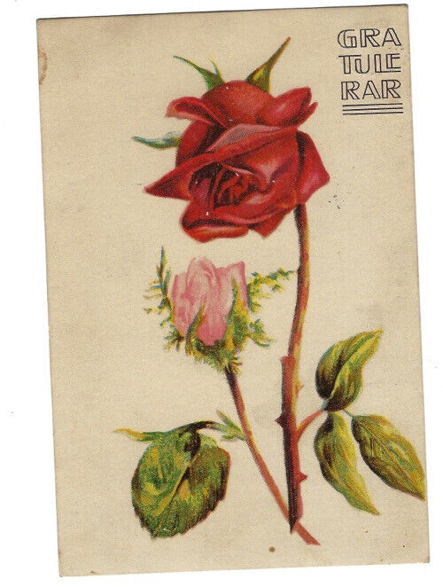 c.1910s Gratulerar Flower Roses Floral Swedish Congratulations Postcard POSTED