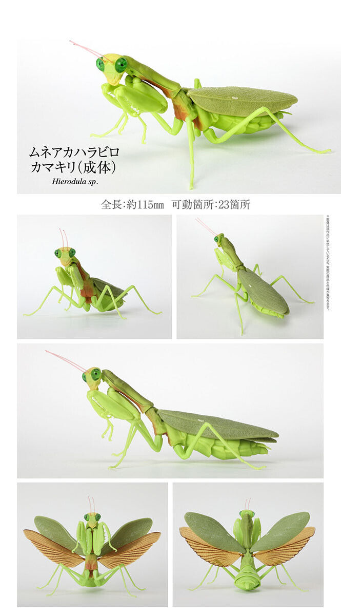 Bandai The Diversity of Life on Earth Mantis Figure Vol 4 Giant Mantis Adult