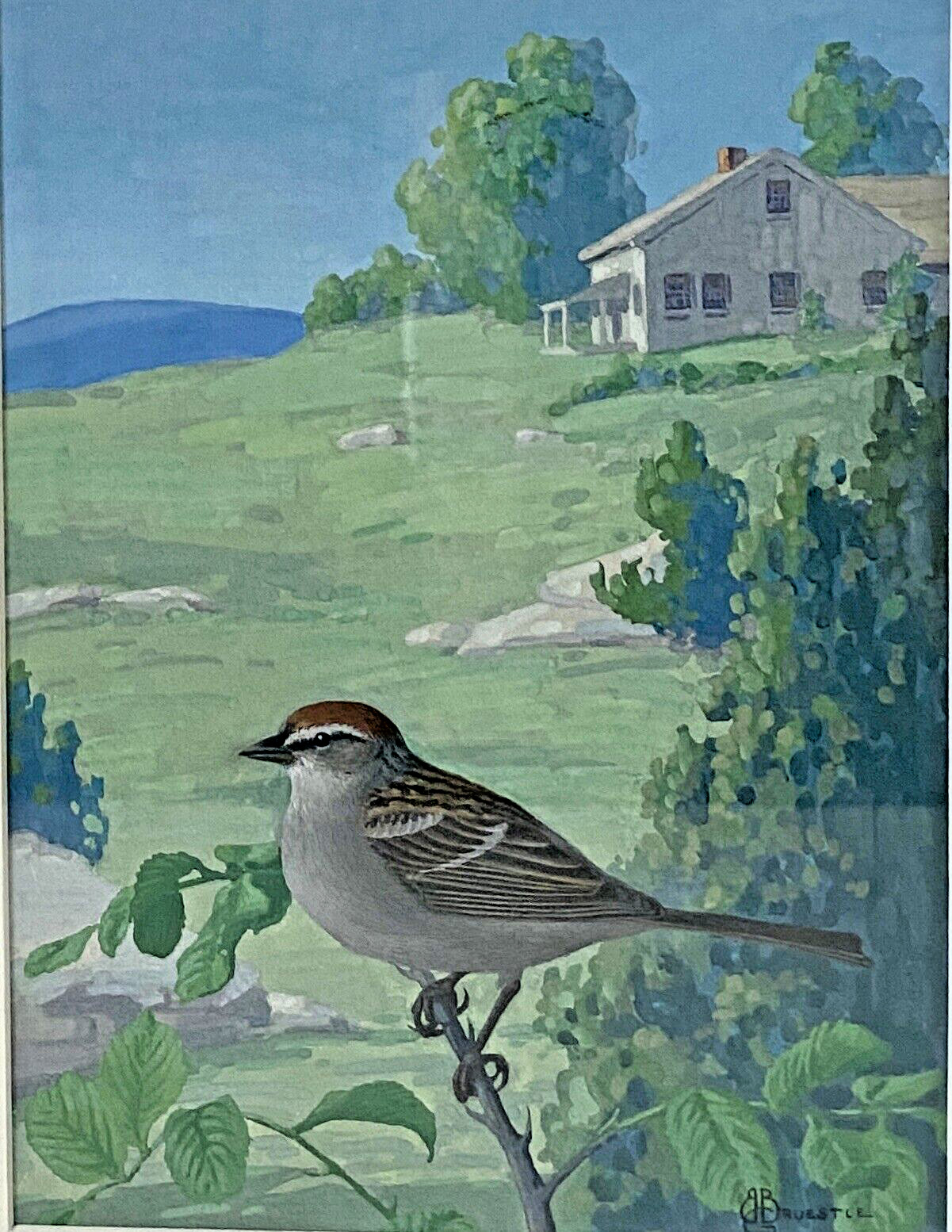 Original Bird Art Painting - Sparrow by Bertram Bruestle, Signed, C1930, Framed