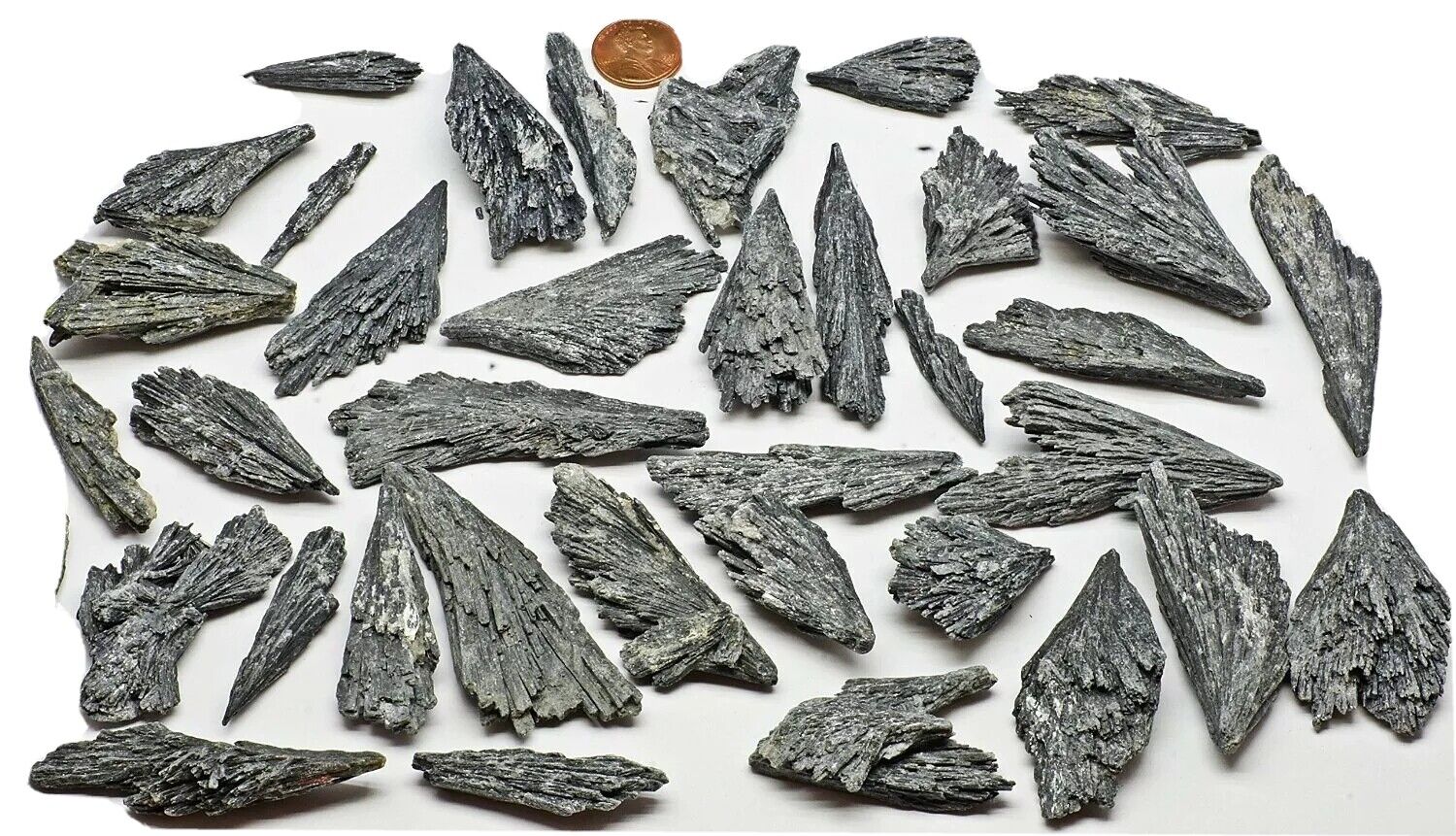 1 lb black kyanite fans wholesale lot pound closeout BEST DEAL ON THE NET