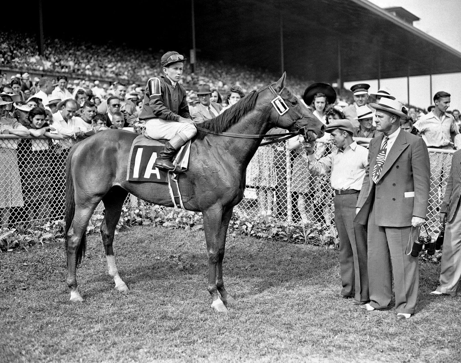 1941 Champion Race Horse WHIRLAWAY Photo  (184-G)