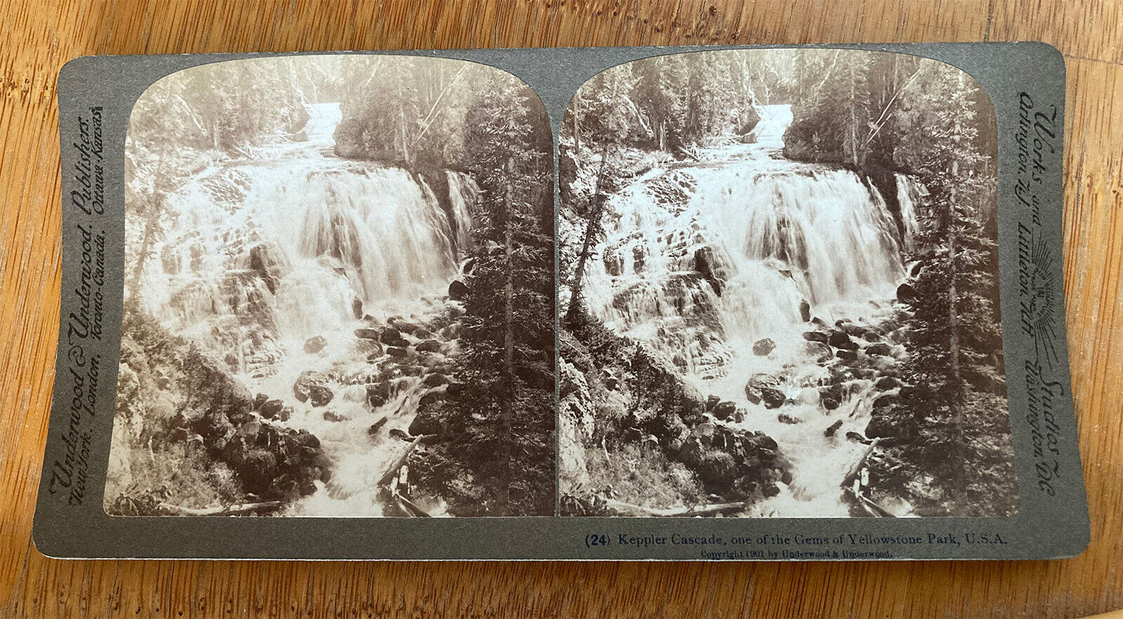 Kepler Cascades, one of the Gems of Yellowstone Park U.S.A. – 1901 Stereoview
