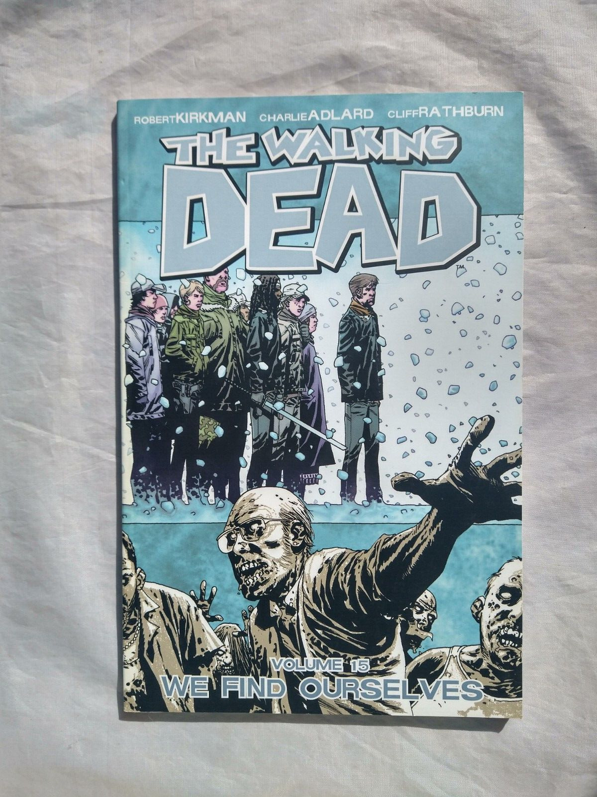 The Walking Dead Volume 15: We Find Ourselves Trade Paperbck New Image Comics