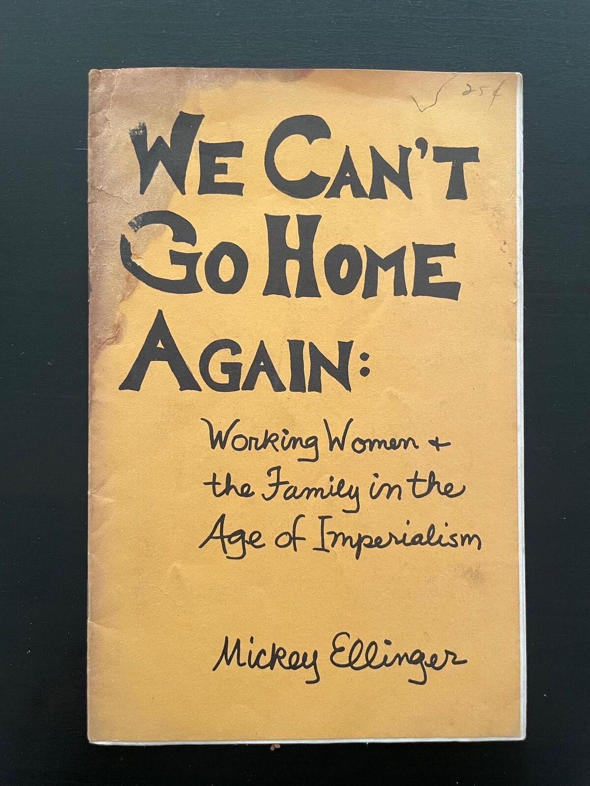 We Can\'t Go Home Again: Working Women + the family in the Age of Imperialism 