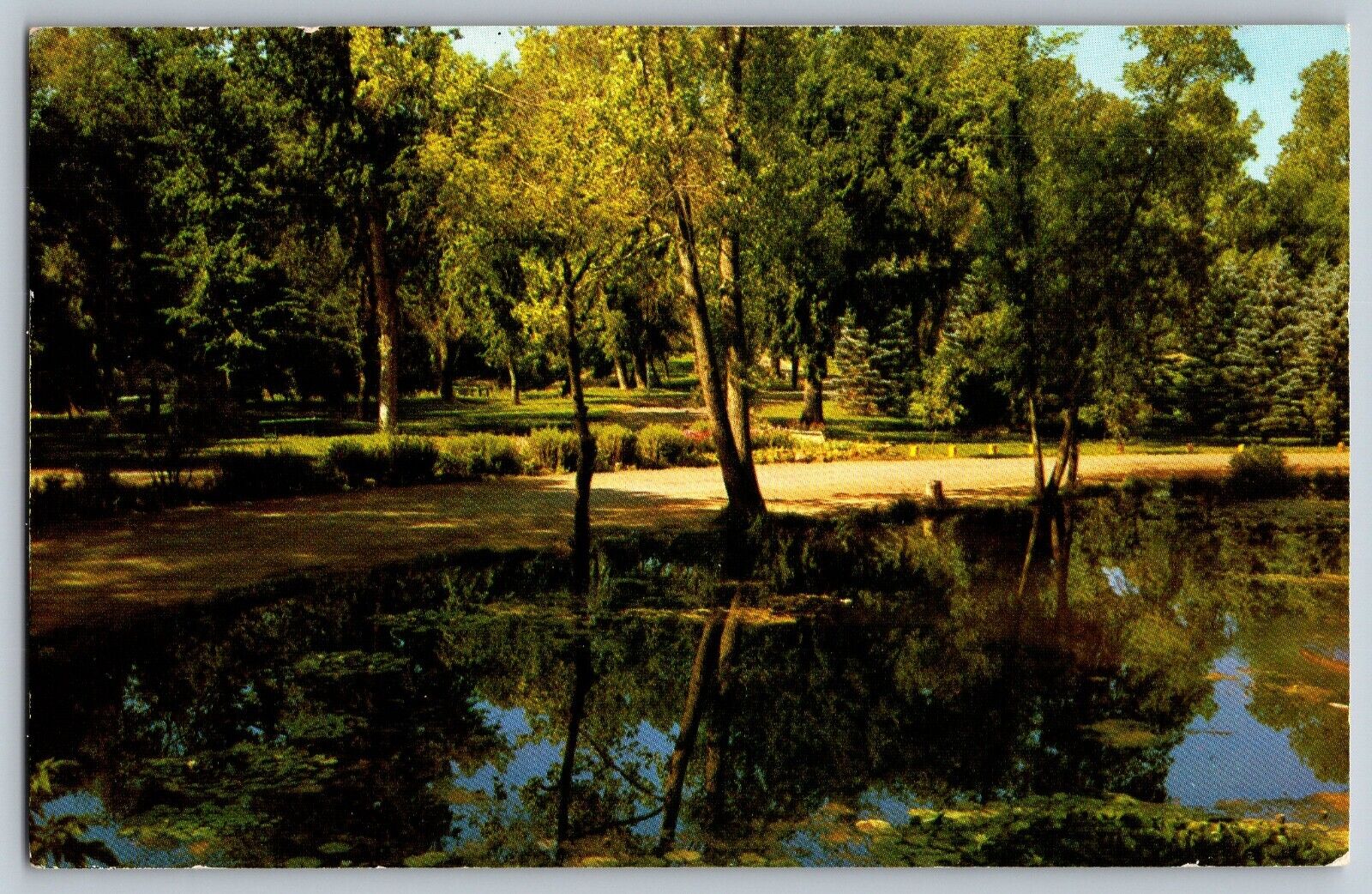 Sheridan, Wyoming - Quite Pool - Sheridan City Park & Zoo - Vintage Postcard