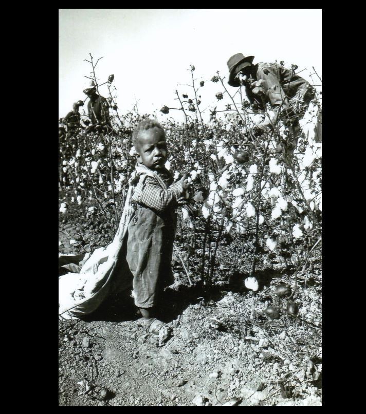 Baby  Black Cotton Picker Boy PHOTO Great Depression, Farm Worker Child Arkansas