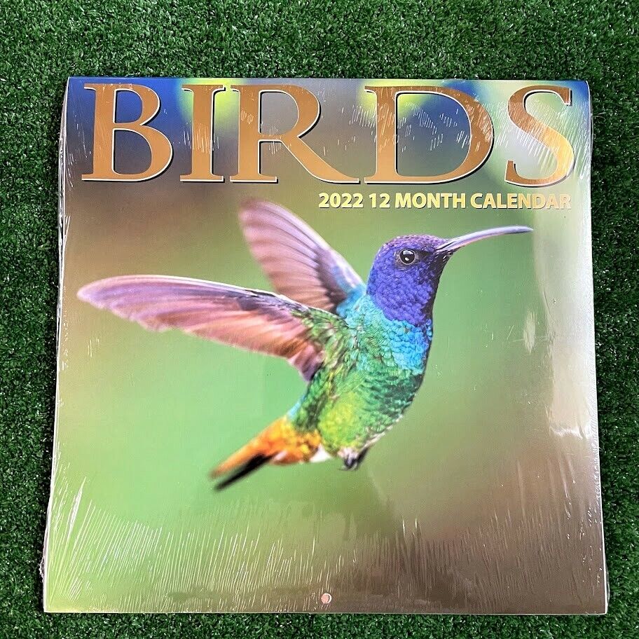 Birds 2022 12 month calendar Next Year NEW