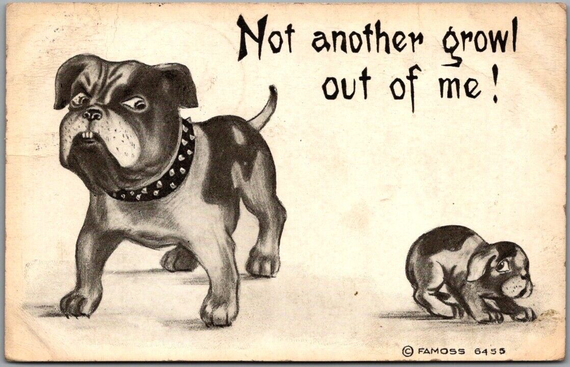 1910 Animal / Dog Comic Postcard Bulldog & Puppy \