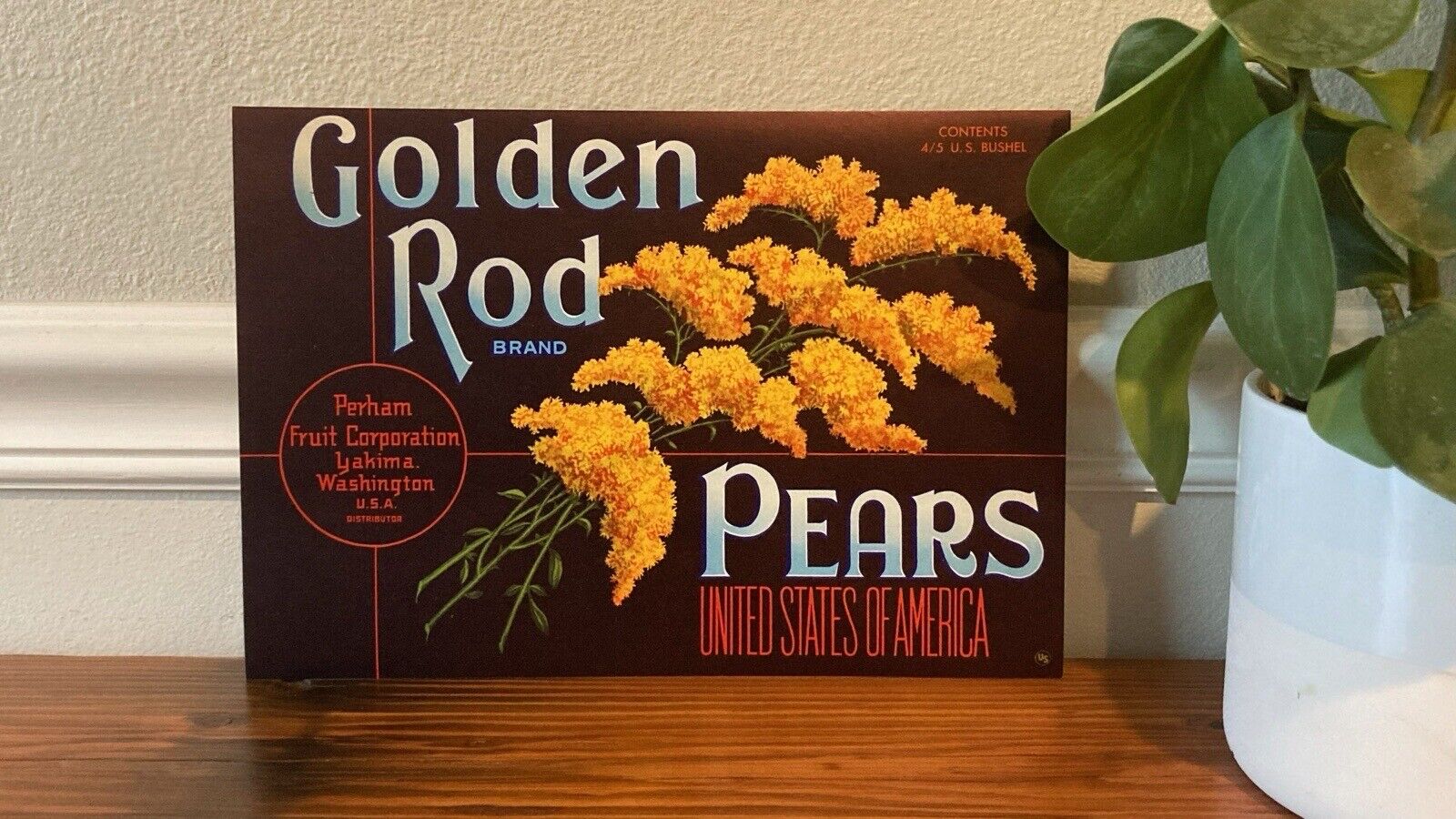 c1930s Golden Rod Pears Yakima Washington WA Fruit Crate Label NOS Unused Art