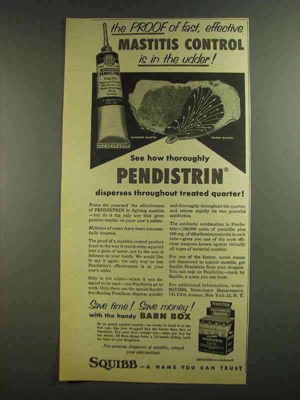 1955 Squibb Pendistrin Ad - Effective Mastitis Control