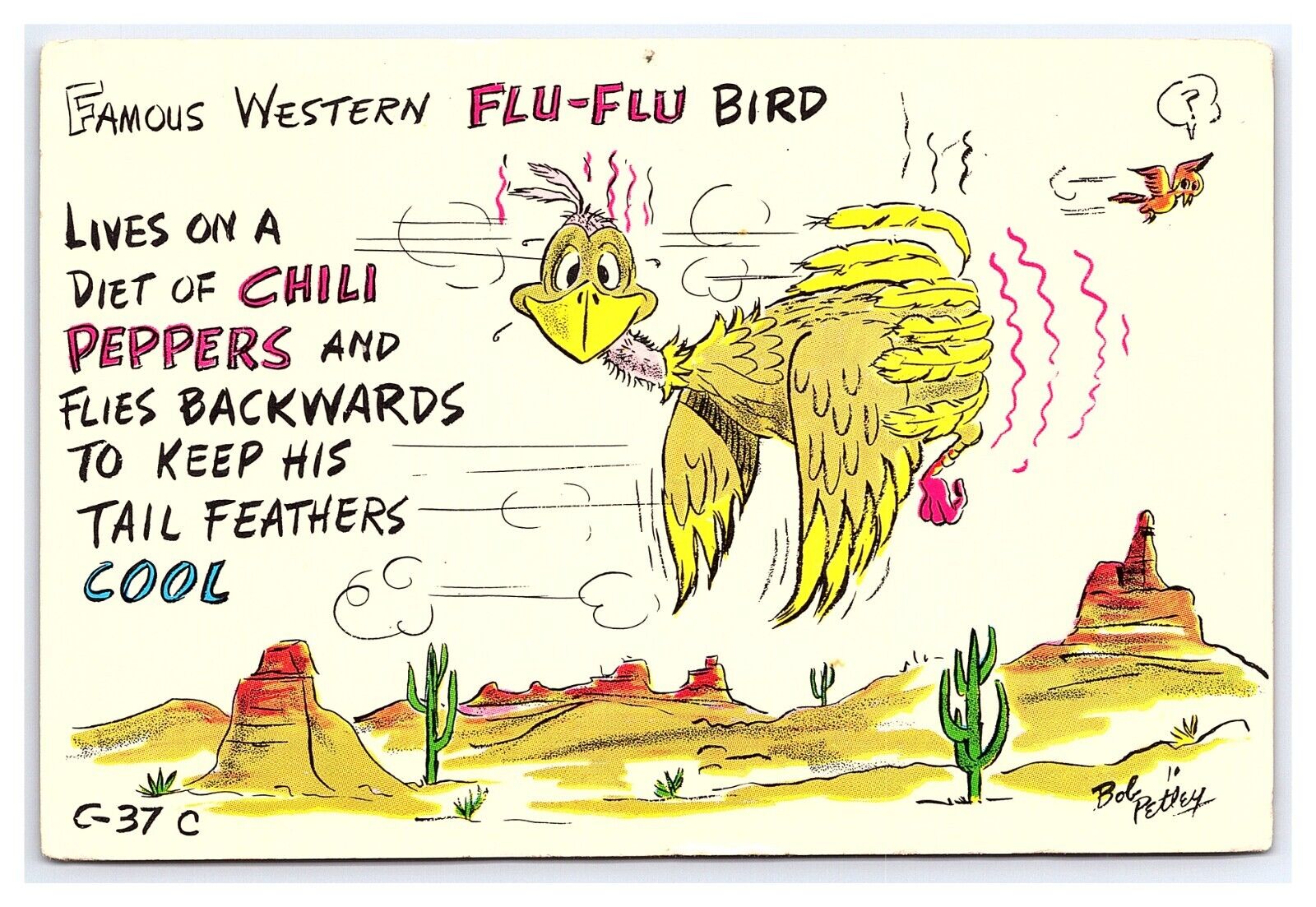 Famous Western Flu-Flu Bird c1973 Comic Postcard Continental View Card