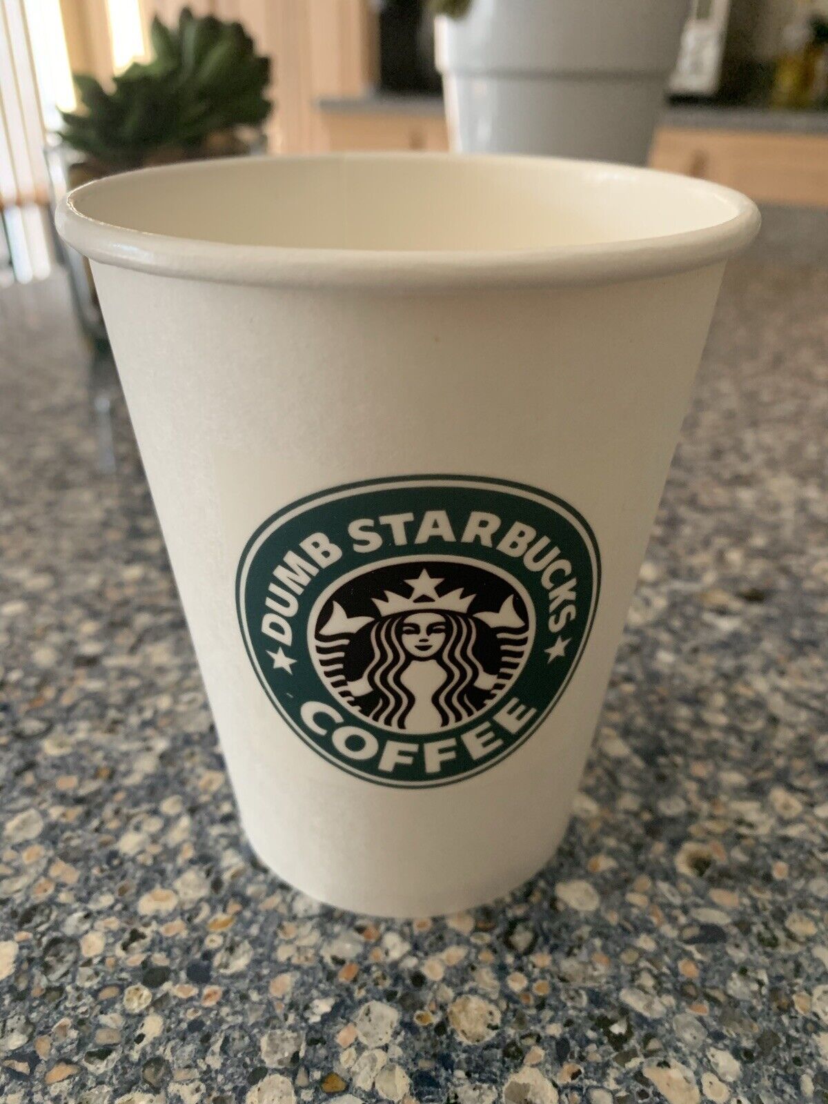 dumb starbucks paper cup from Tv Show Nathan For You