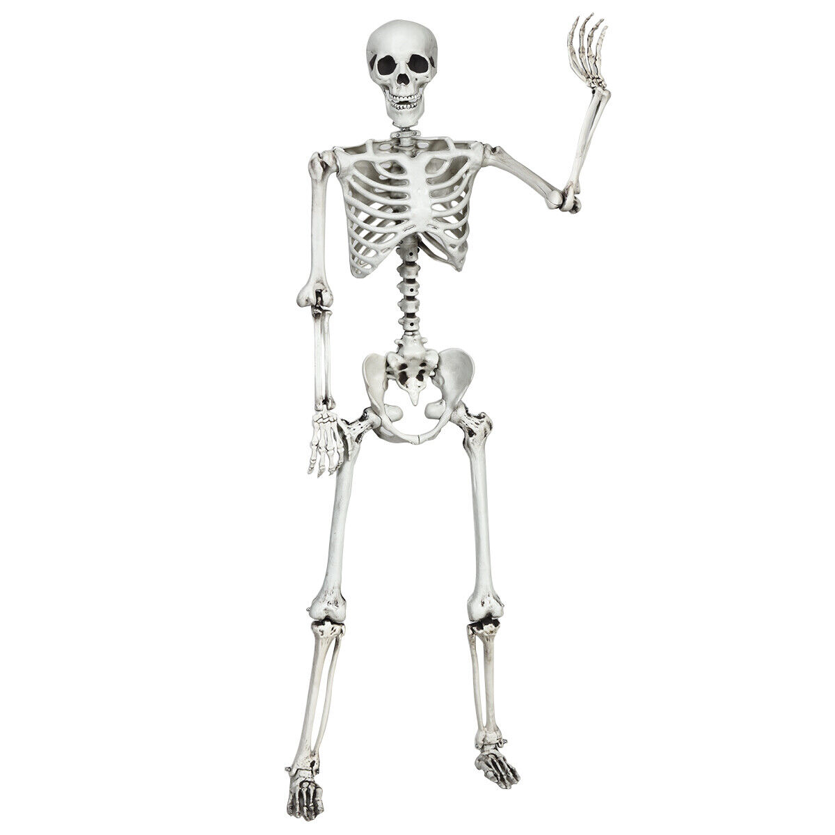 5.4ft Halloween Skeleton Life Size Realistic Full Body Hang w/ Movable Joints