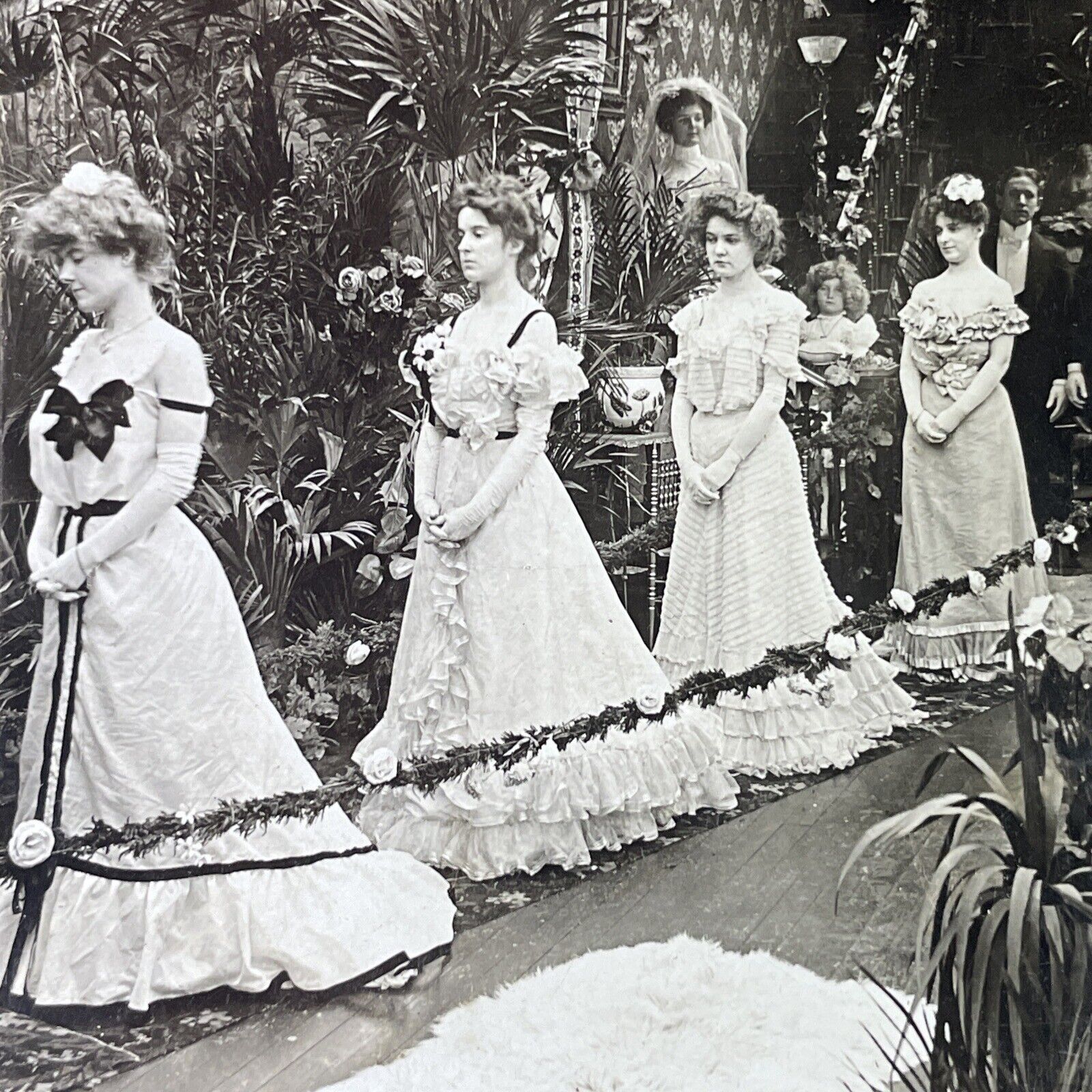 Antique 1903 Beautiful Bridesmaids At Wedding Stereoview Photo Card P3388