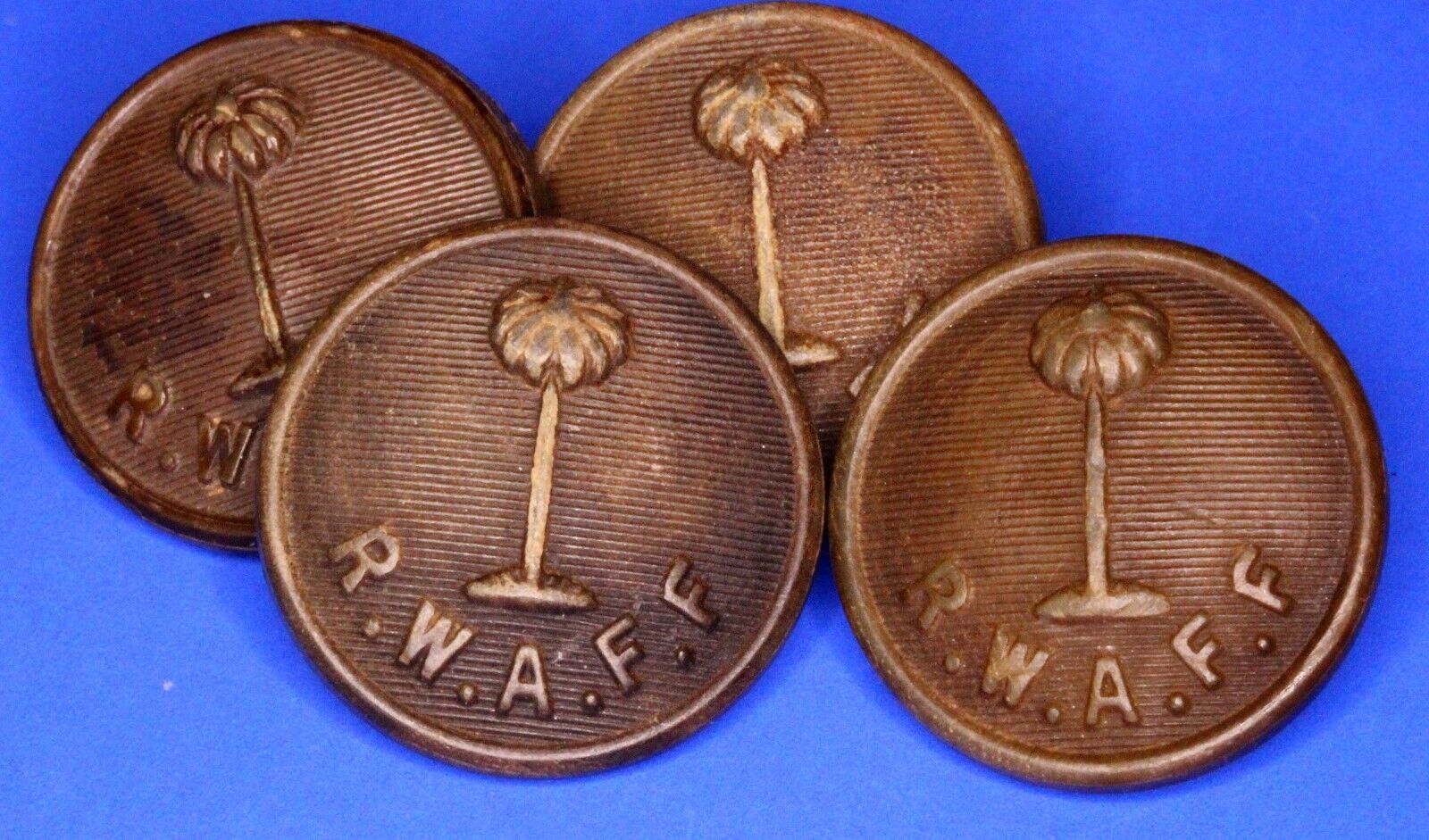 Royal West African Frontier Force (RWAFF) Bakelite Buttons 21mm [24107]