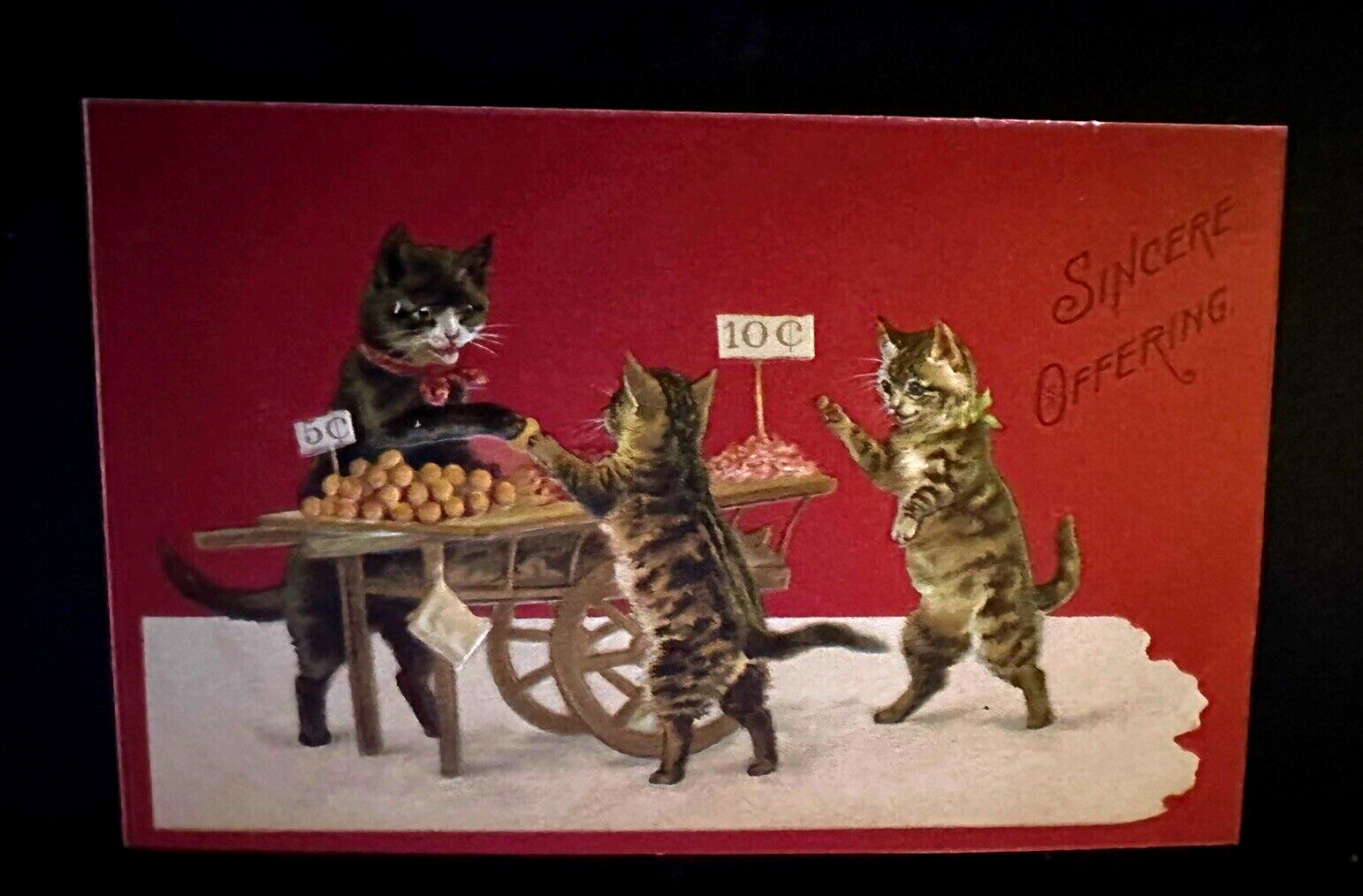 Fantasy Cats Kittens at Fruit Stand~Anthropomorphic 1910 ~Greeting Postcard~h607