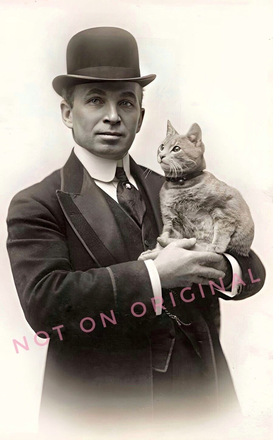 Vintage 1910's Photo Reprint of a Man Wearing Bowler Hat Holding his CAT Kitty