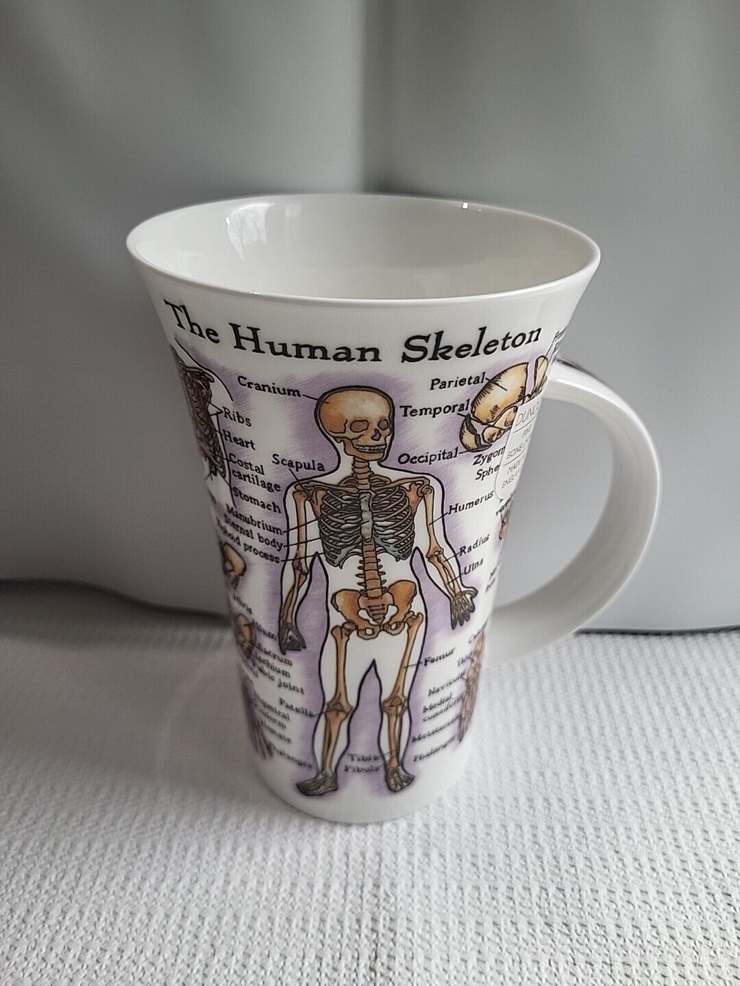 DUNOON THE HUMAN BODY  Bone China GLENCOE Mug