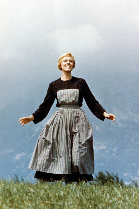 Sound Of Music Julie Andrews 24X36 Premium Quality Poster On Hilltop
