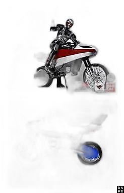 S.H.Figuarts Roboiser Kamen RiderBLACK RX Tamashii Web Store Limited