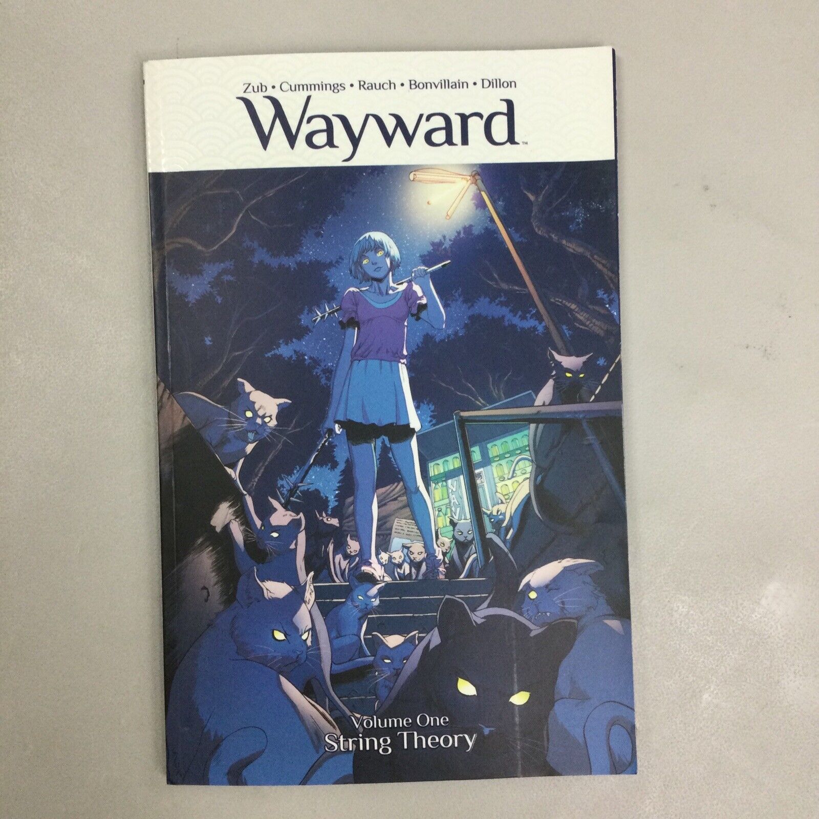 Wayward Volume 1: String Theory Signed By Jim Dub READ DESCRIPTION