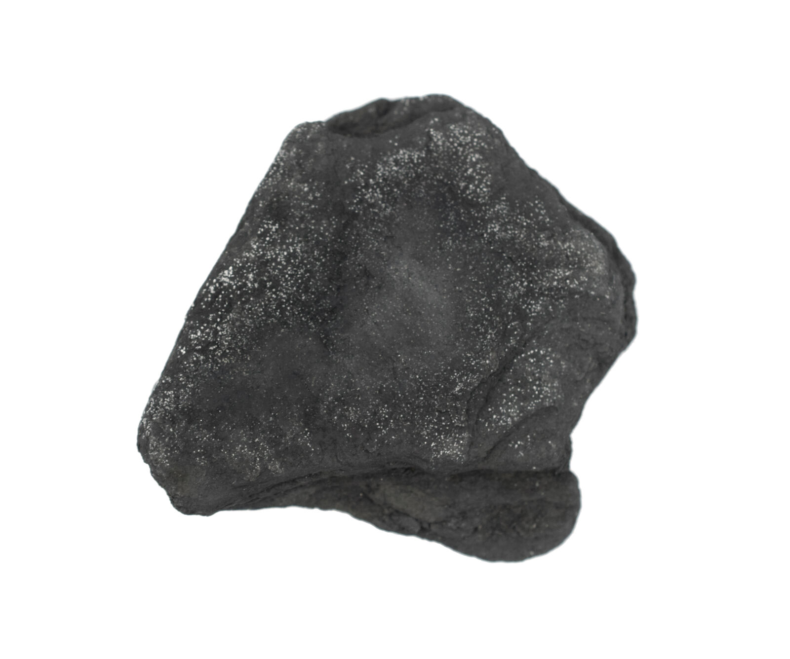 12PK Raw Anthracite Coal Rock Specimens, 1\