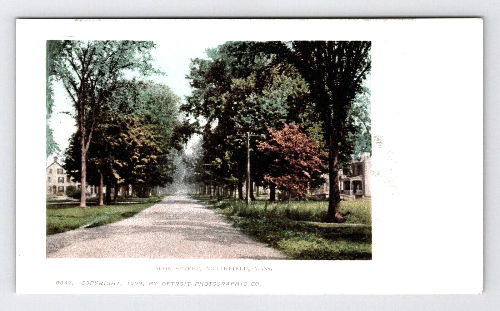 Postcard 1902 MA Main Street Scenic Country Road View Northfield Mass