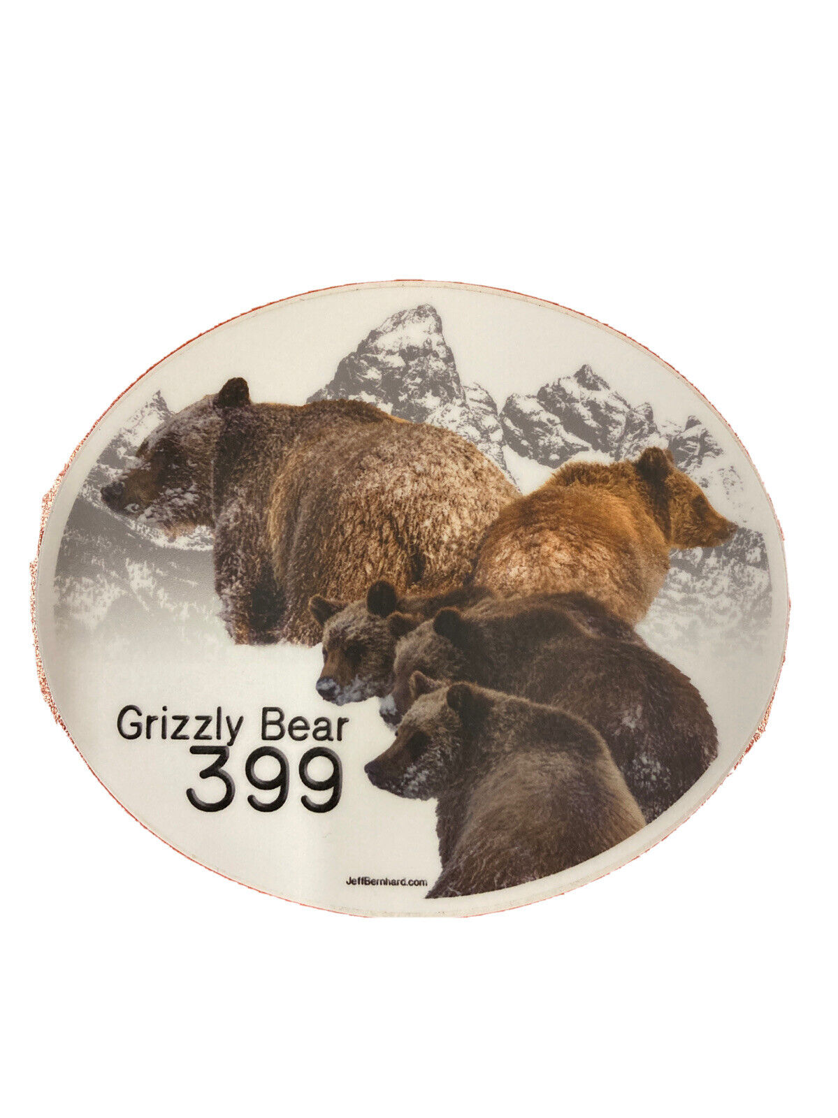 Grizzly Bear 399 In Grand Teton National Park Sticker