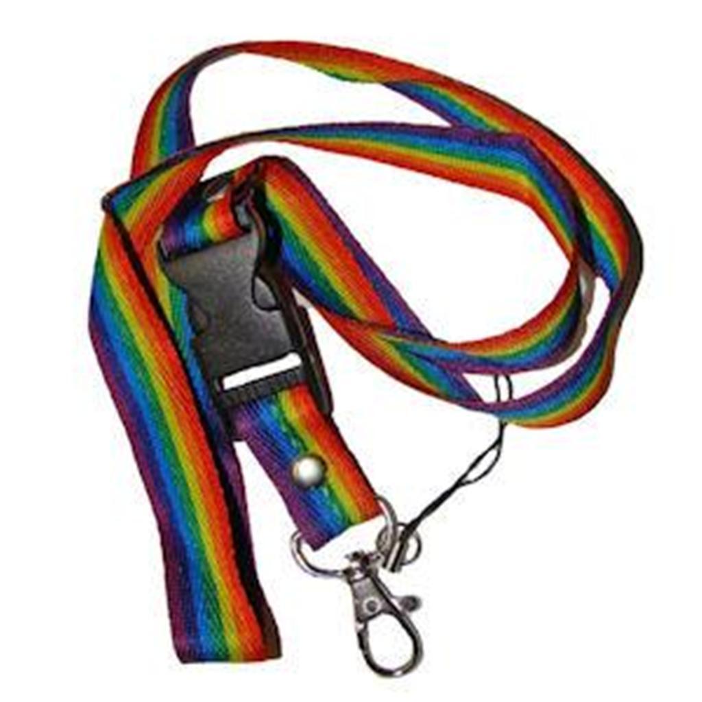 Gay Pride Rainbow Woven Ribbon Lanyard Keychain LGBTQ