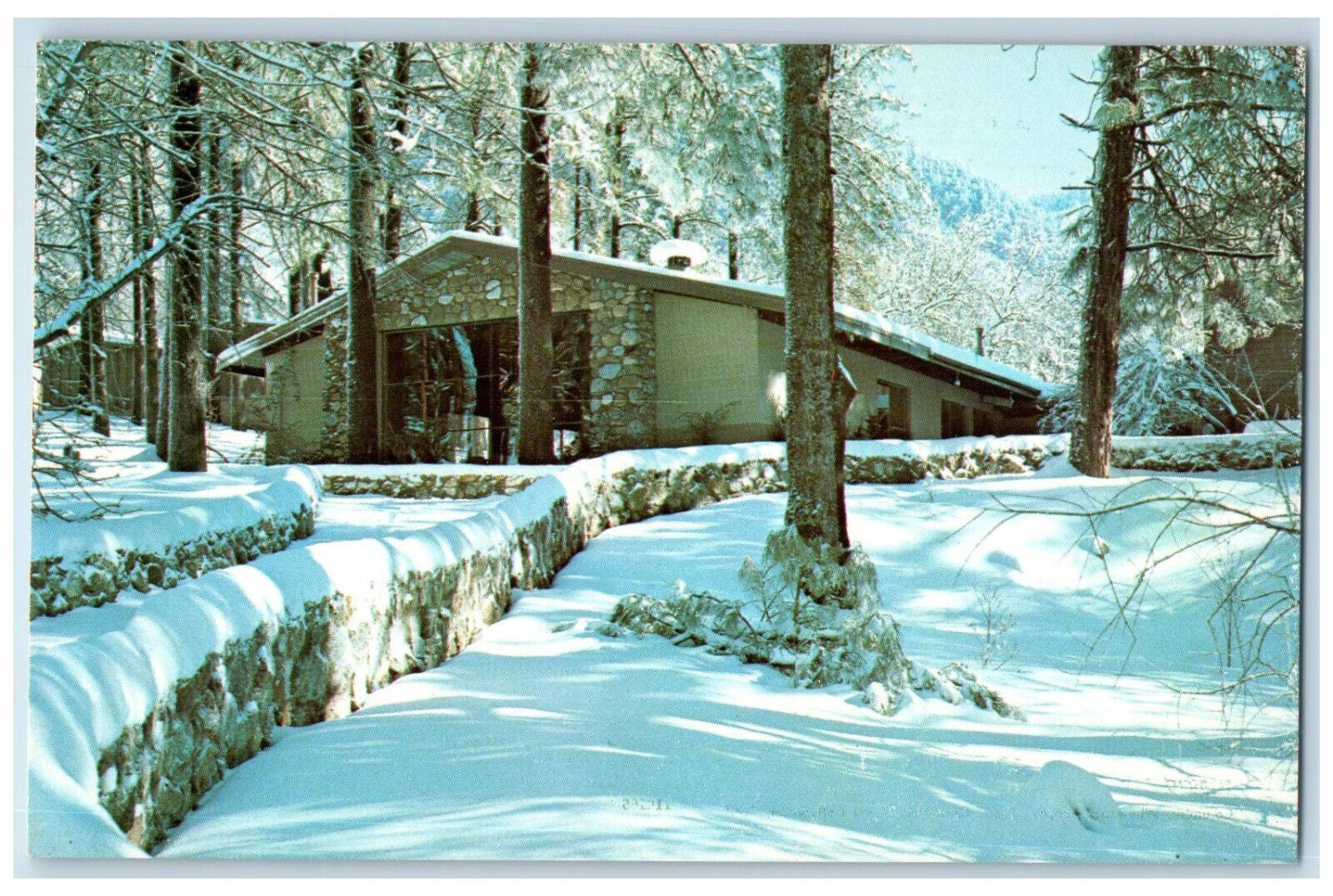 View Of Oak Glen Pines Christian Camp And Conference Center Yucaipa CA Postcard