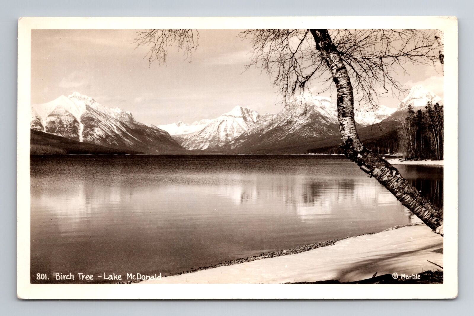 Lake McDonald MT-Montana RPPC, Birch Tree, Scenic View, Vintage Postcard