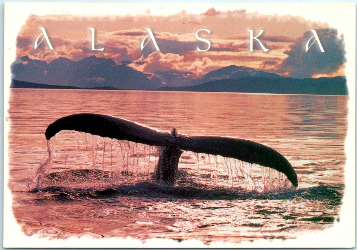 Postcard - Humpback whales tail in the Inside Passage, Alaska