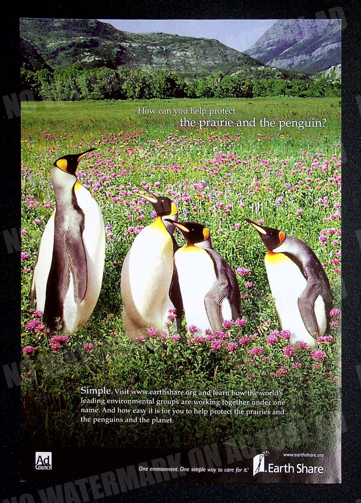 Earth Share Conservation 2006 Penguins Trade Print Magazine Ad Poster ADVERT
