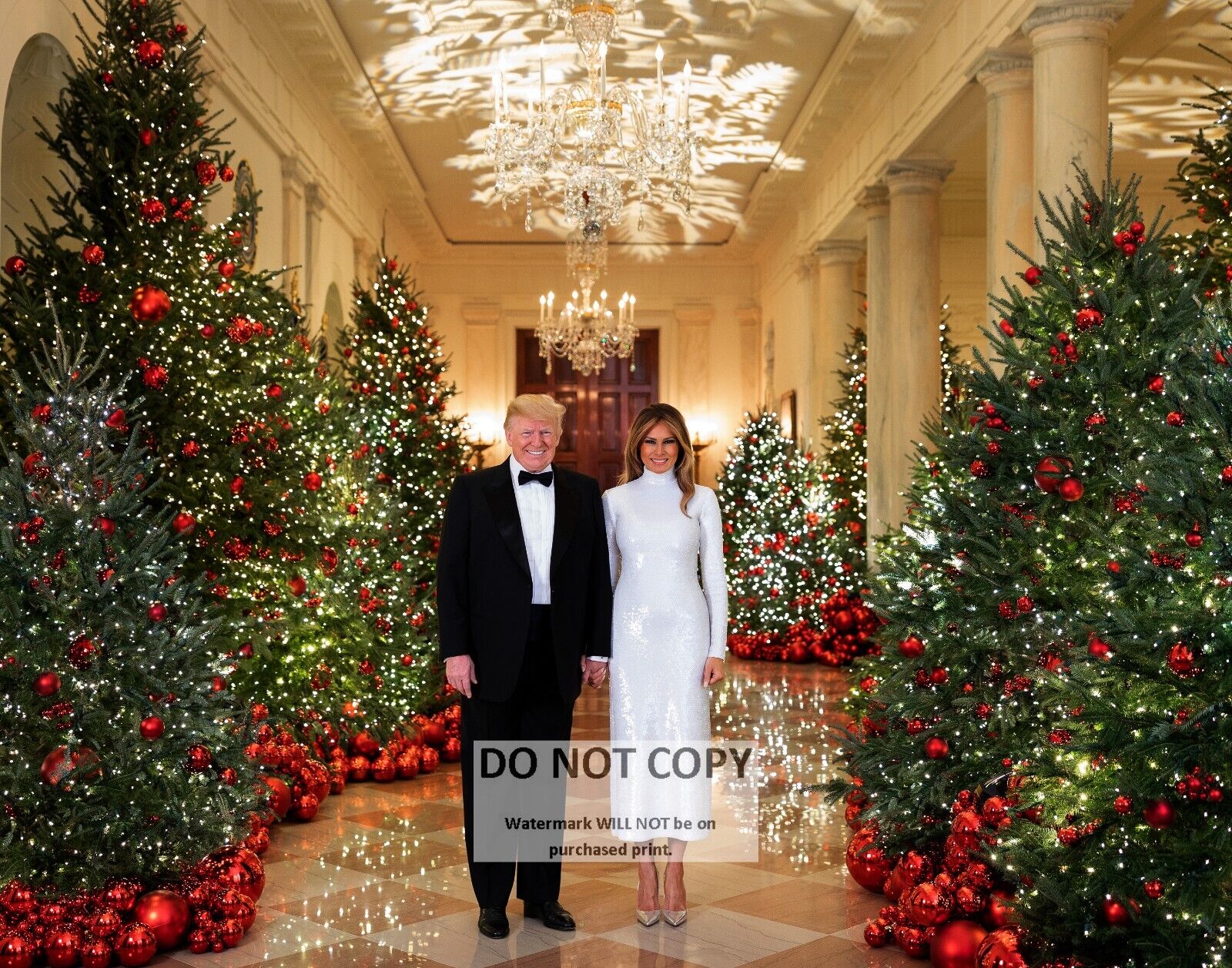 PRESIDENT DONALD TRUMP & MELANIA 2018 CHRISTMAS PORTRAIT - 8X10 PHOTO (RT406)