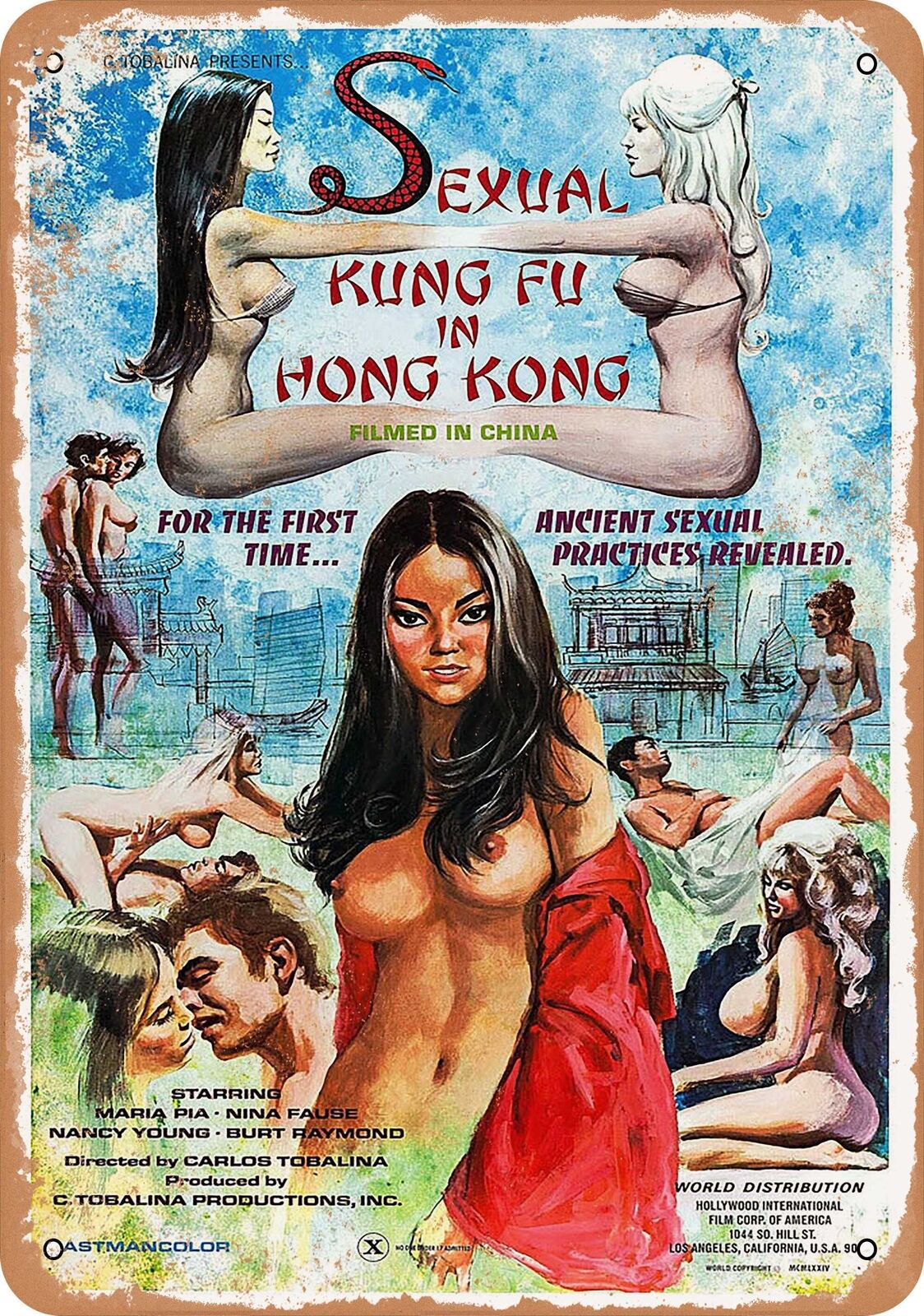 Metal Sign - Sexual Kung Fu in Hong Kong (1974) - Vintage Look